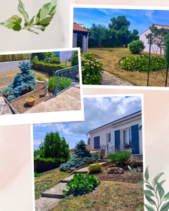 Photo de galerie - Entretien jardin 