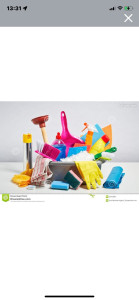 Photo de galerie - Ménage /repassage