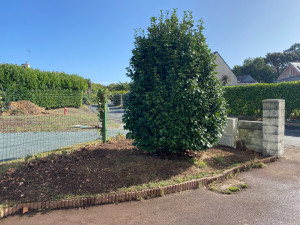 Photo de galerie - Terrassement - Assainissement