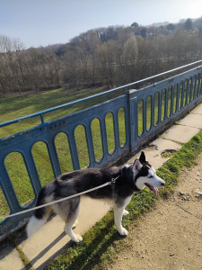 Photo de galerie - Igashu