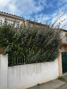 Photo de galerie - Avant 