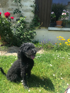 Photo de galerie - Garde une semaine 