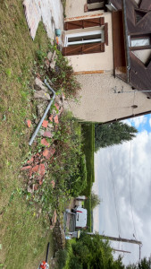 Photo de galerie - Elagage et coupe d'arbres