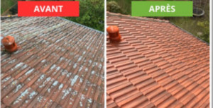 Photo de galerie - Couverture - Toiture