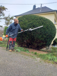Photo de galerie - Taille de haies et d'arbustes