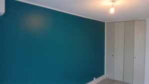 Photo de galerie - Dans cet appartement j'ai fait le ratissage complet avec cet couleur et d'autres et la tapisserie aussi 