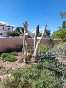 Photo de galerie - .