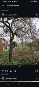 Photo de galerie - Elagage et coupe d'arbres