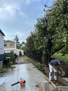 Photo de galerie - Clôture Grillage