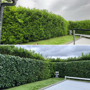 Photo de galerie - Avant / Après 