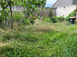 Photo de galerie - Tonte de pelouse - Débroussaillage