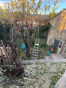 Photo de galerie - élagage 