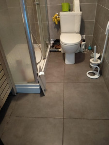 Photo de galerie - Changement wc 