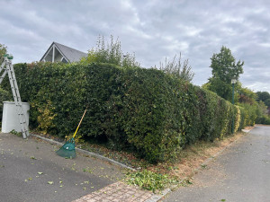 Photo de galerie - Fini de tailler, la haie d’arbustes client très satisfait ???