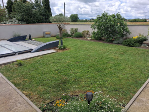 Photo de galerie - Tonte de pelouse - Débroussaillage