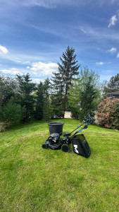 Photo de galerie - Tonte de pelouse. 