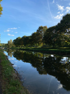 Photo de galerie - Promenade, j’adore bouger