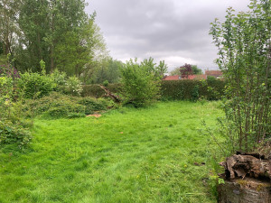 Photo de galerie - Tonte de pelouse - Débroussaillage