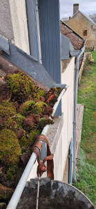 Photo de galerie - Couverture - Toiture