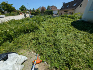 Photo de galerie - Tonte de pelouse - Débroussaillage