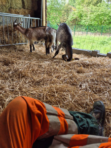 Photo de galerie - Soigneuse animalière