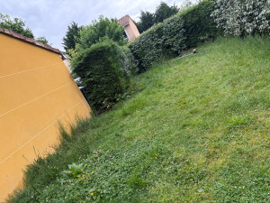 Photo de galerie - Tonte de pelouse - Débroussaillage