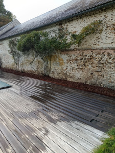 Photo de galerie - Paysagiste - Aménagement du jardin