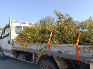 Photo de galerie - Évacuation déchets - Gravats