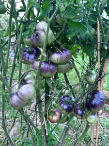 Photo de galerie - Jardinier