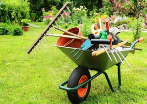 Photo de galerie - Prêt à faire du jardinage