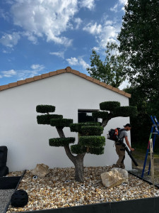 Photo de galerie - Taille de haies et d'arbustes