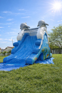 Photo de galerie - Jeu gonflable / Structure gonflable