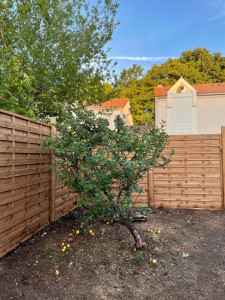 Photo de galerie - Paysagiste - Aménagement du jardin