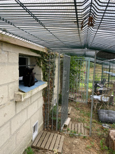 Photo de galerie - Catio extérieur