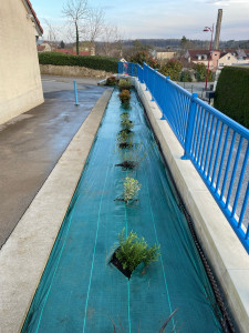 Photo de galerie - Plantations 