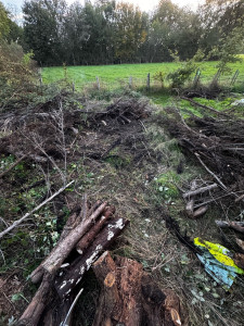 Photo de galerie - Pendant 