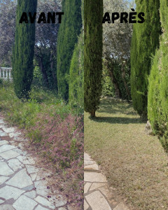 Photo de galerie - Avant/après tonte de pelouse