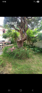 Photo de galerie - Terrassement - Assainissement