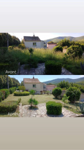 Photo de galerie - Tonte de pelouse - Débroussaillage