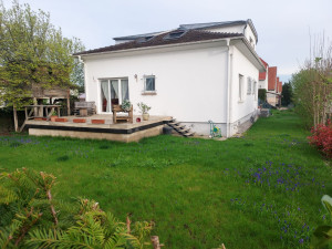 Photo de galerie - Entretien jardin