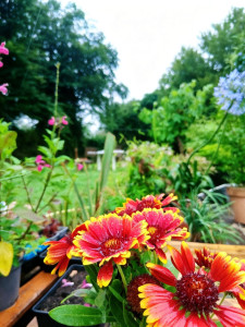 Photo de galerie - Paysagiste - Aménagement du jardin