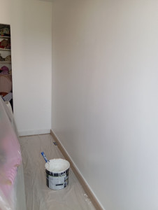 Photo de galerie - Peinture / Enduit