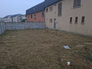 Photo de galerie - Tonte de pelouse - Débroussaillage