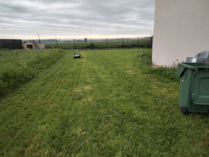 Photo de galerie - Mise à jour d'une pelouse, tonte et débroussaillage d'herbes hautes.