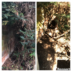 Photo de galerie - Avant/après