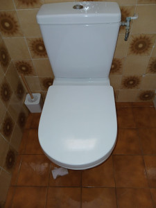 Photo de galerie - Nettoyage toilette 