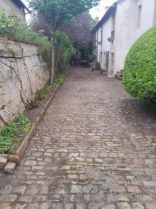 Photo de galerie - Jardinier