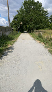 Photo de galerie - Débroussaillage d’une allée piétonne et réalisation de bordure prêt la suite 