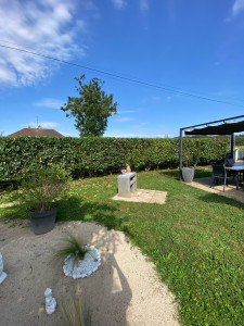 Photo de galerie - Taille de haie 