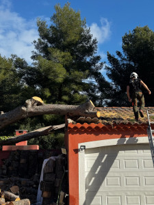 Photo de galerie - Extraction de l’arbre, nous avons réalisé une intervention méticuleuse à l’aide de différents engins pour éviter le sur accident et éviter de dommages supplémentaires sur le bâti